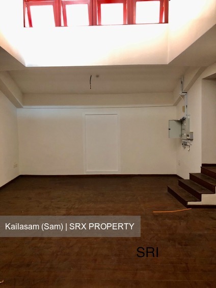Lorong Telok (D1), Shop House #211774141